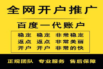 SEM广告创意与优化：成功案例分享