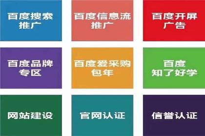 百度推广运营实战：成功案例解析